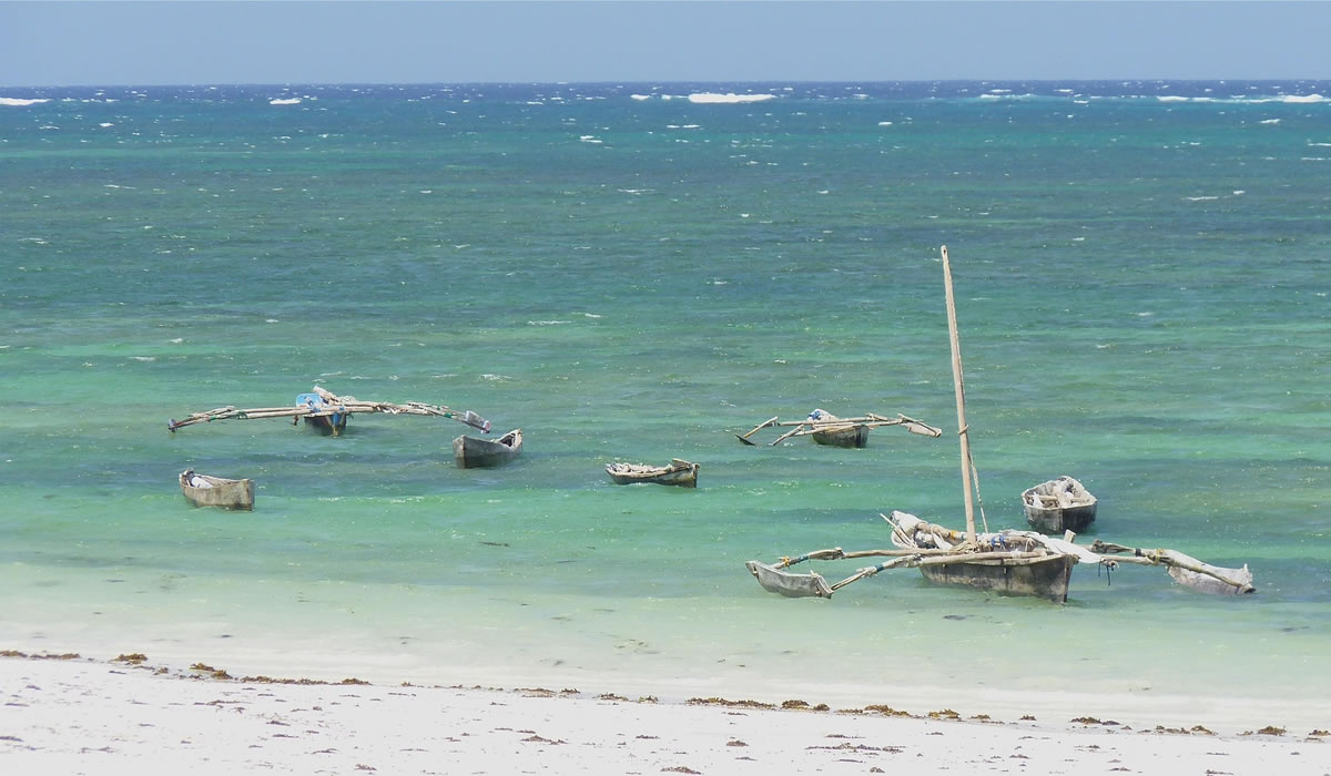 11 Days Kenya Bush and Beach Safari Holiday