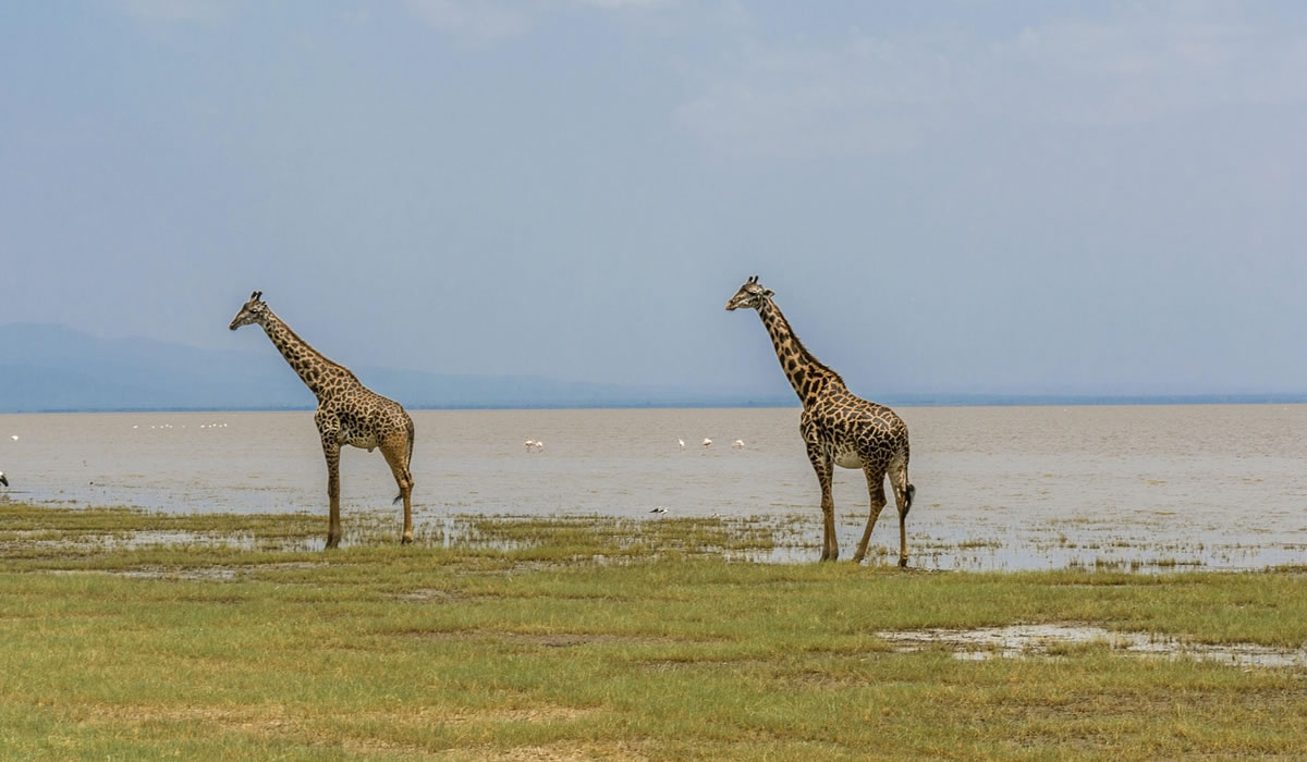 3 Days Ngorongoro and Lake Manyara Safari