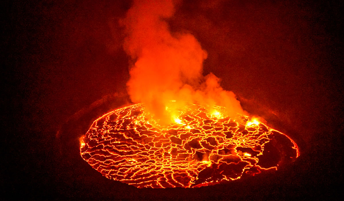 12 Days Complete Congo Gorilla and Wildlife Safari