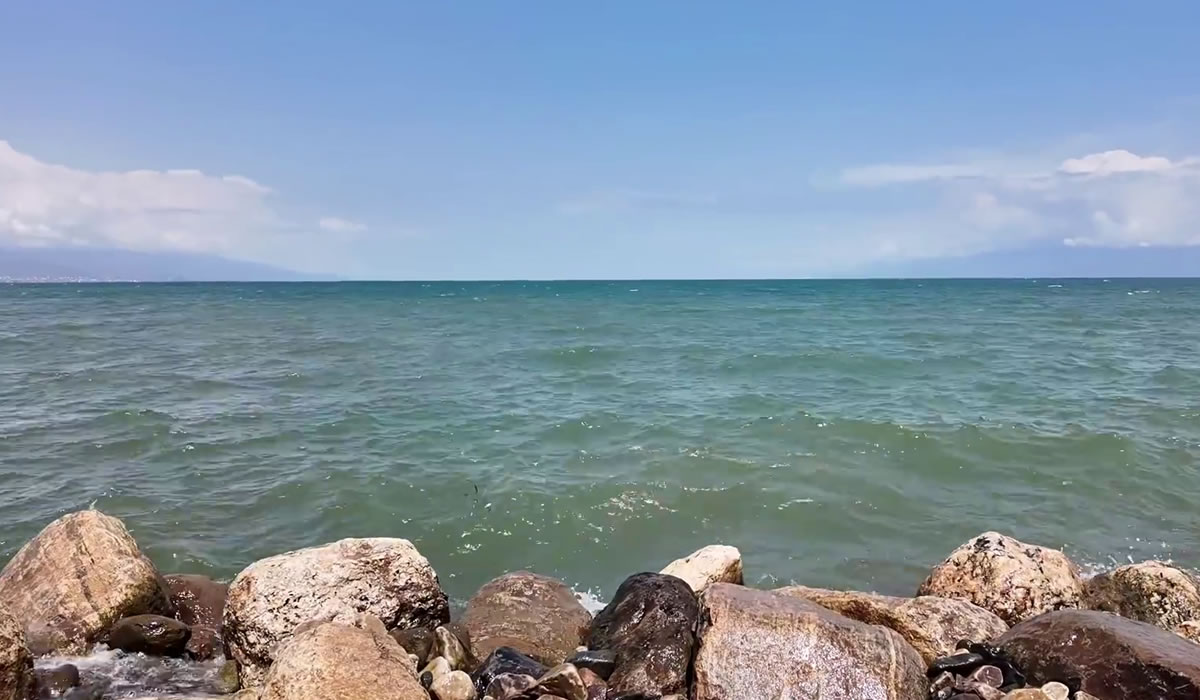 5 Days Wildlife and Lake Tanganyika Safari