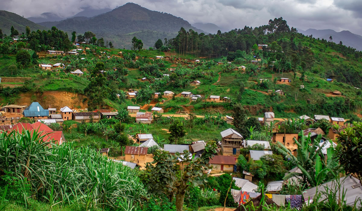 11 Days Congo Adventure and Safari Experience