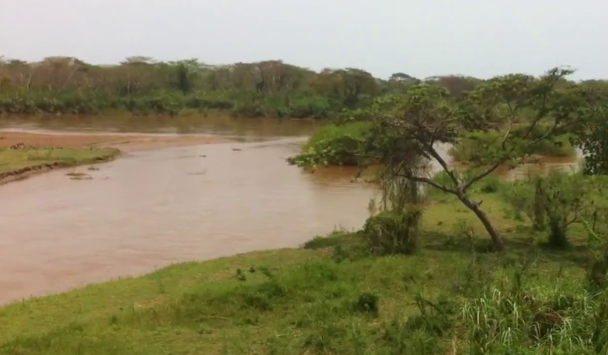 3 Days Kibira Forest Safari Experience