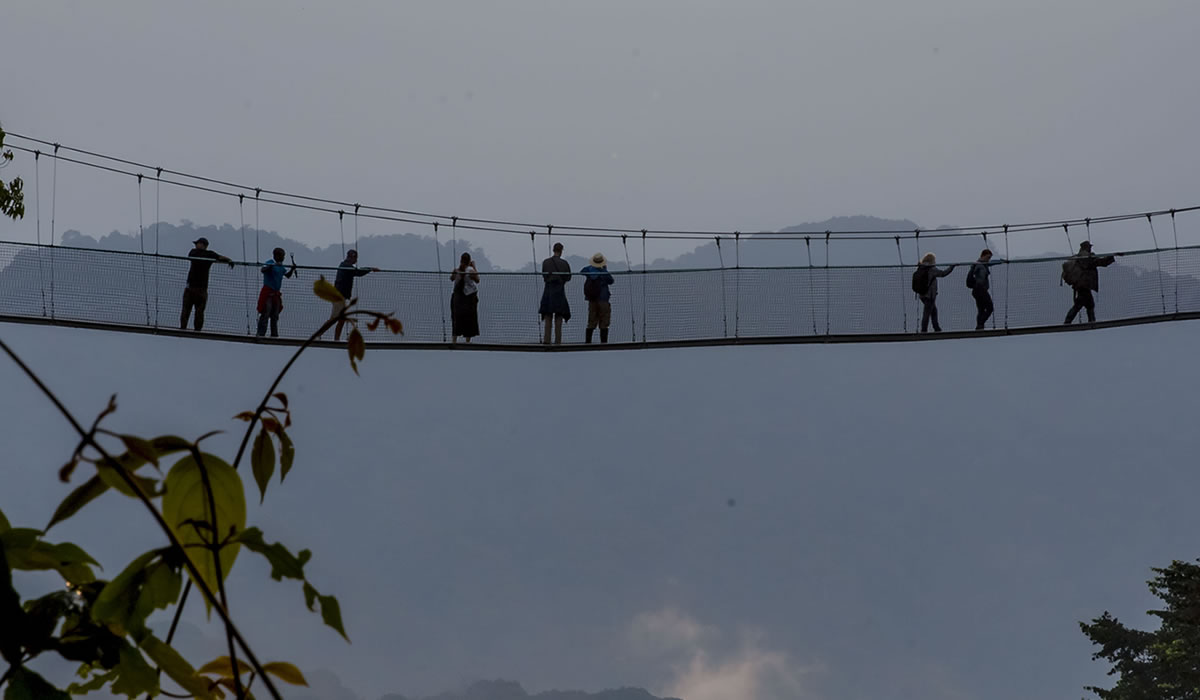 Canopy Walk in Nyungwe Forest