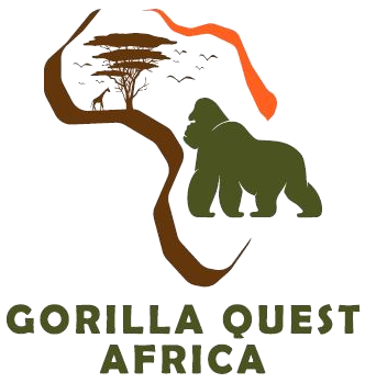 Gorilla Quest Africa