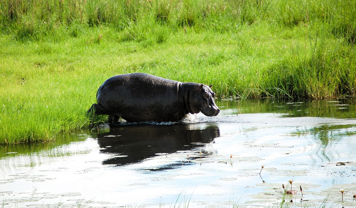 9 Days Burundi Safari and Lake Tanganyika Holiday