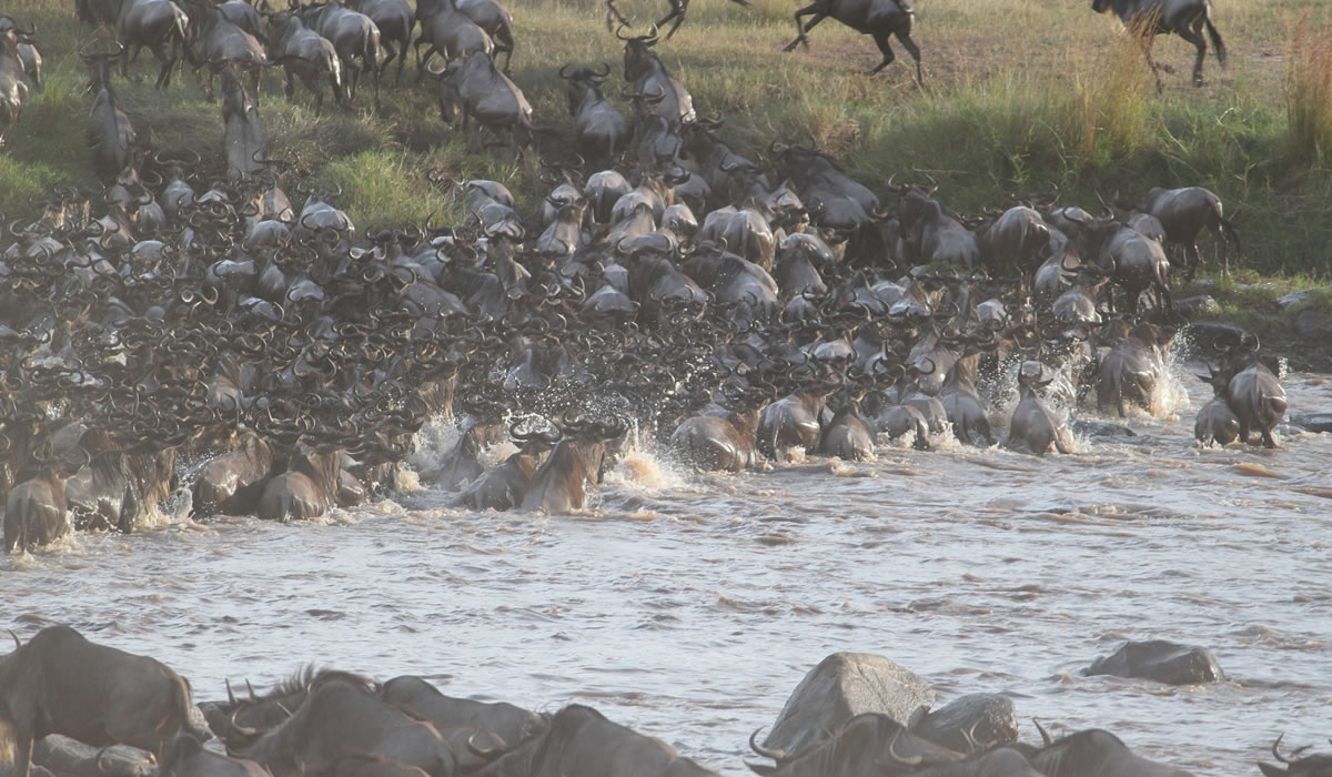 10 Days Serengeti Great Migration Safari
